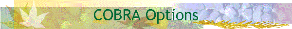 COBRA Options