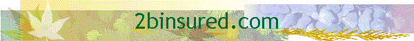 2binsured.com