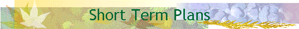 Short Term Plans