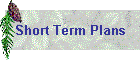 Short Term Plans
